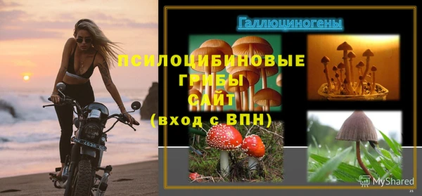 амф Снежногорск