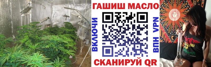 как найти   Вуктыл  omg ONION  ТГК гашишное масло 